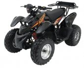 2009 CPI ATV XT 50 photo